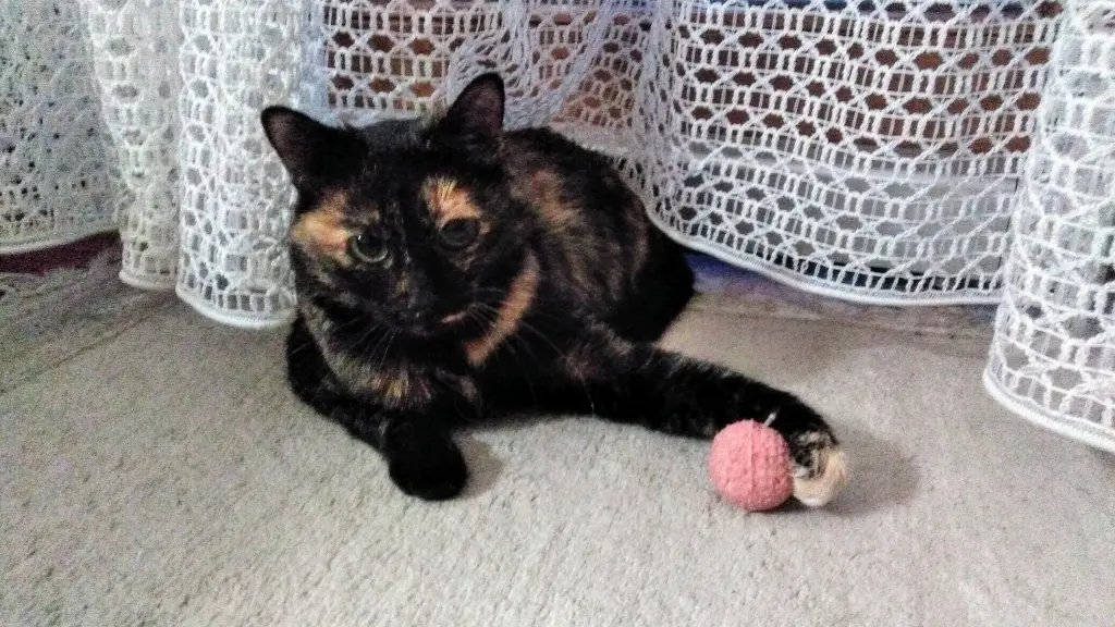 Andachtsbild von Ingrid mit Vini im Herzen