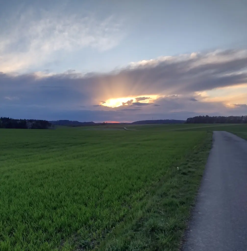 Andachtsbild von Corinna mit Emma, Vinni-Ved , Linette, Jengi, Pummelchen und anderen Sternleine im Herzen