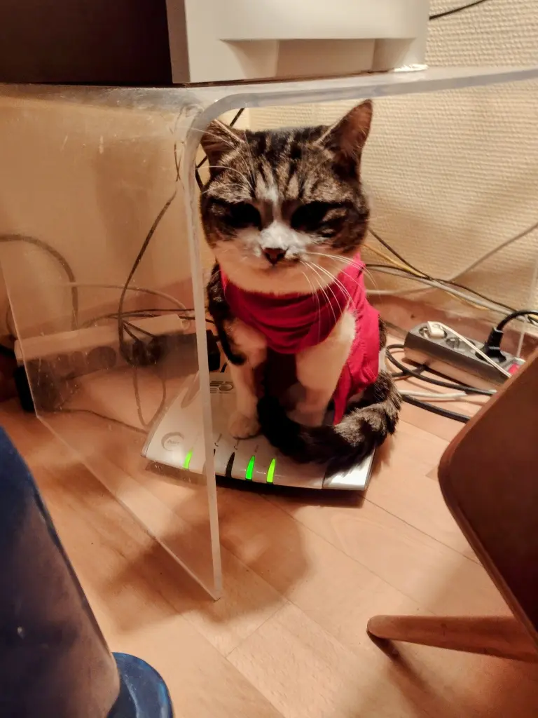 Andachtsbild von Corinna mit Linette im ❤️