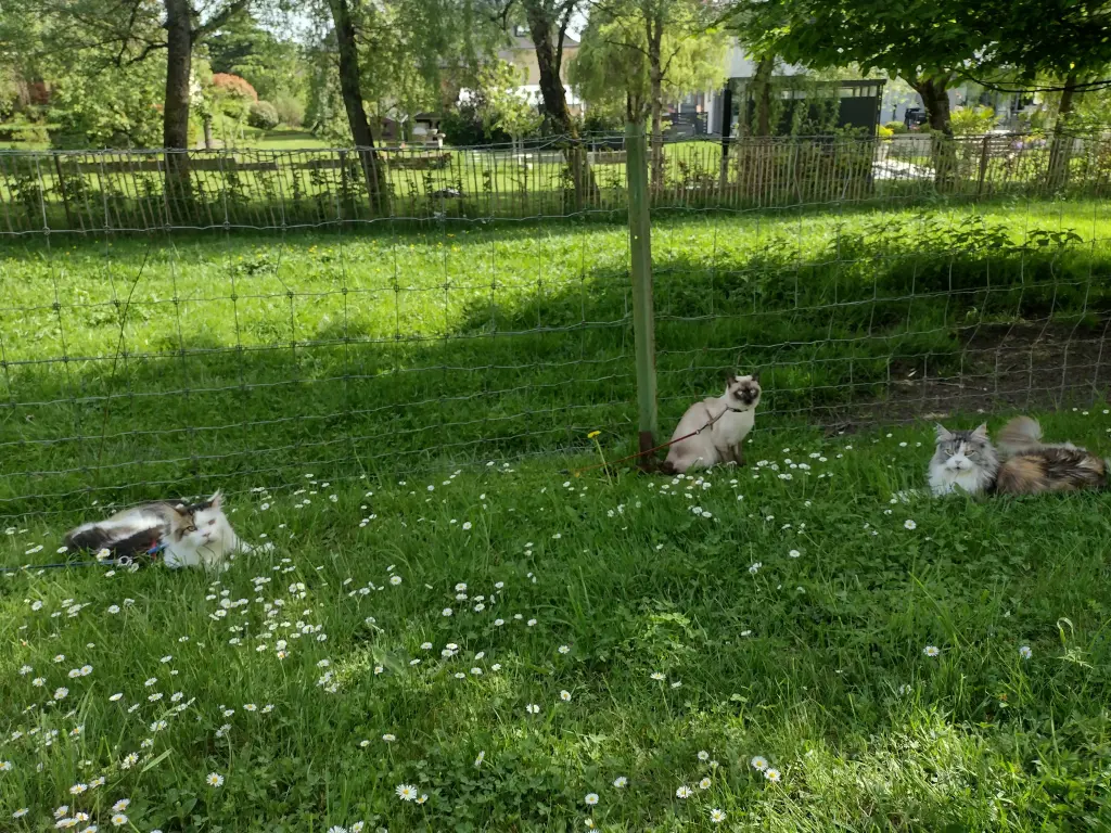 Andachtsbild von Corinna ♥️