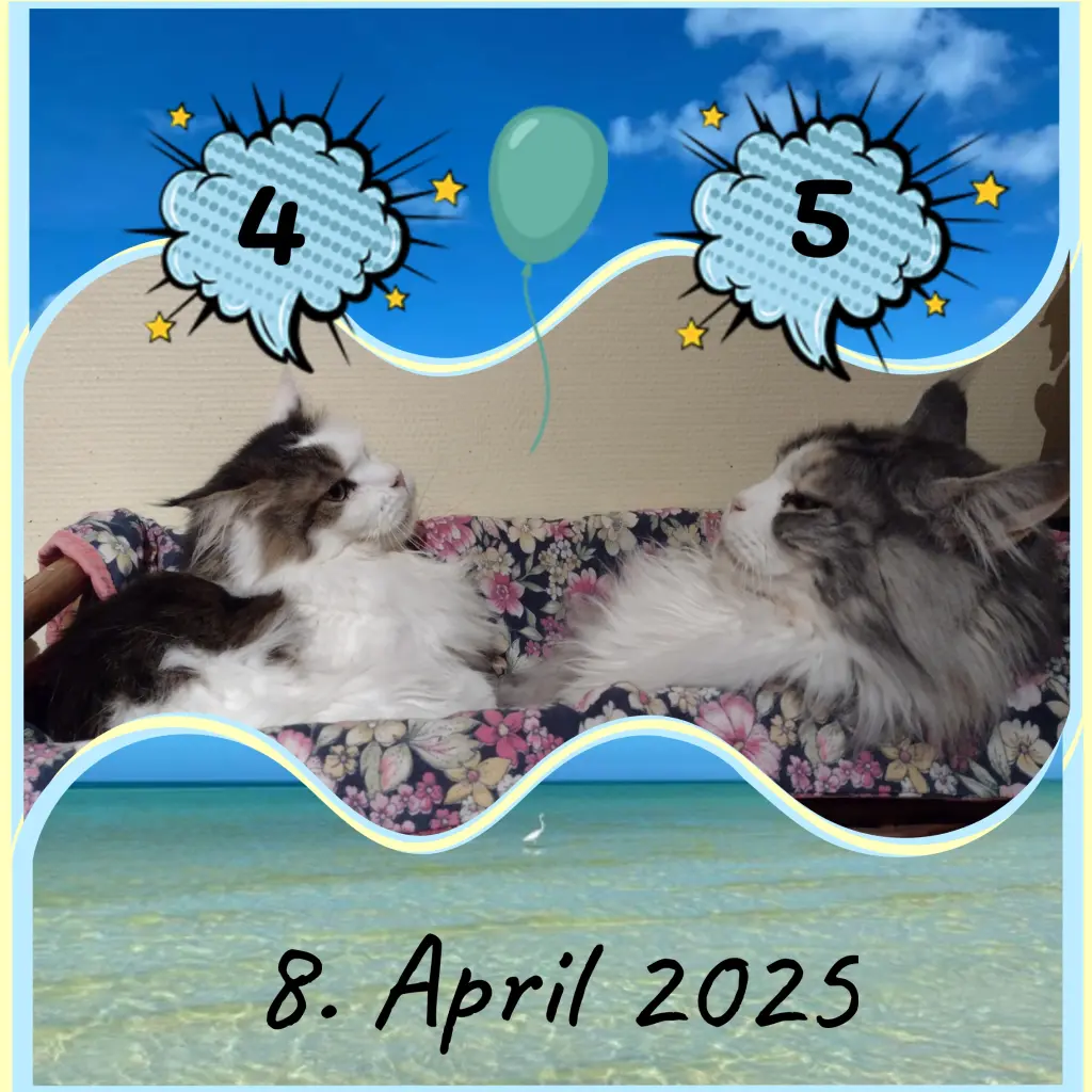 Andachtsbild von Corinna ♥️