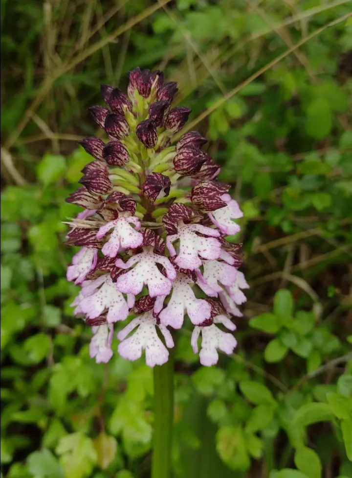 Andachtsbild von Corinna ❤️