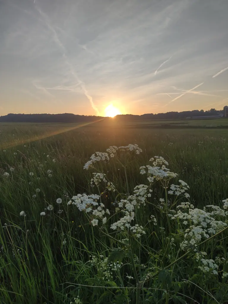 Andachtsbild von Corinna ♥️