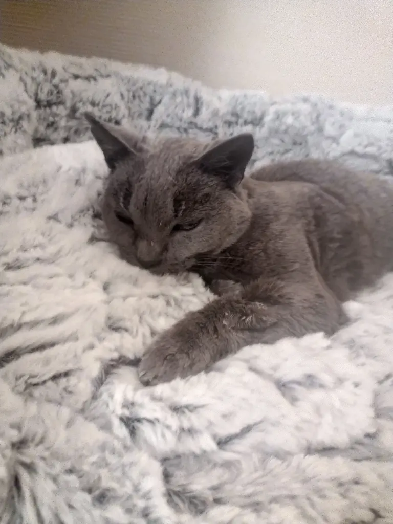 Andachtsbild von Corinna ♥️