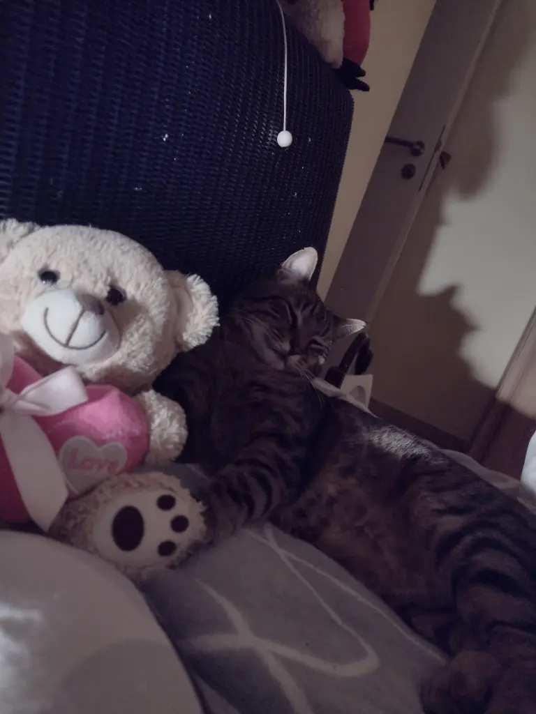 Andachtsbild von Corinna ♥️