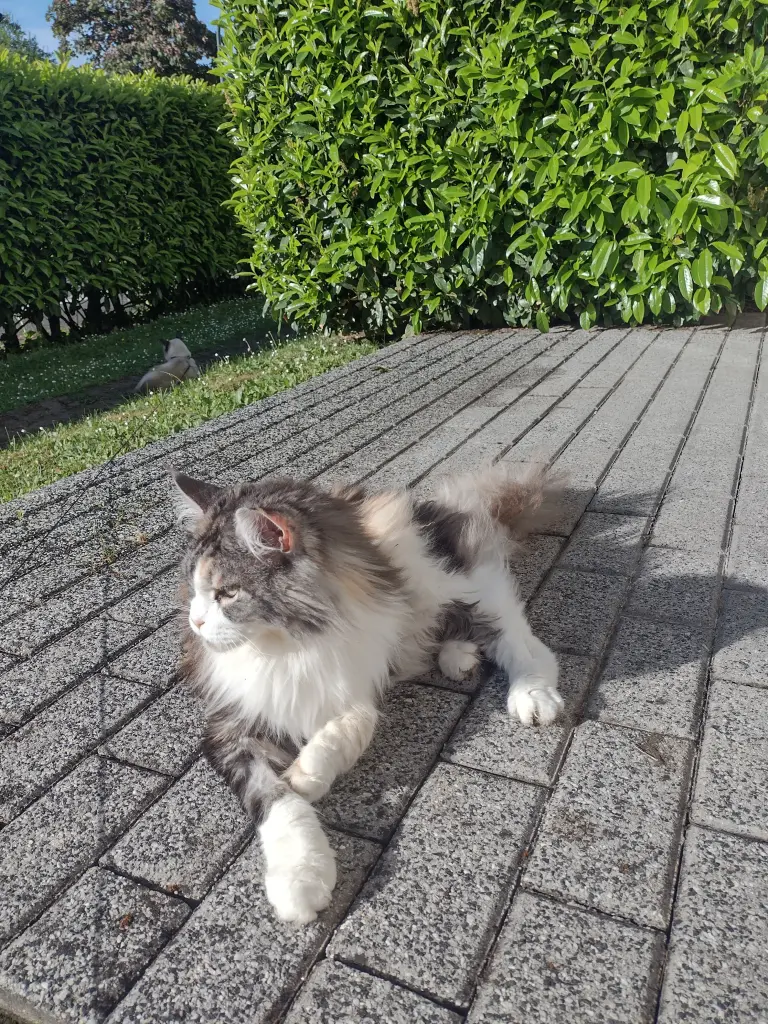 Andachtsbild von Corinna ♥️