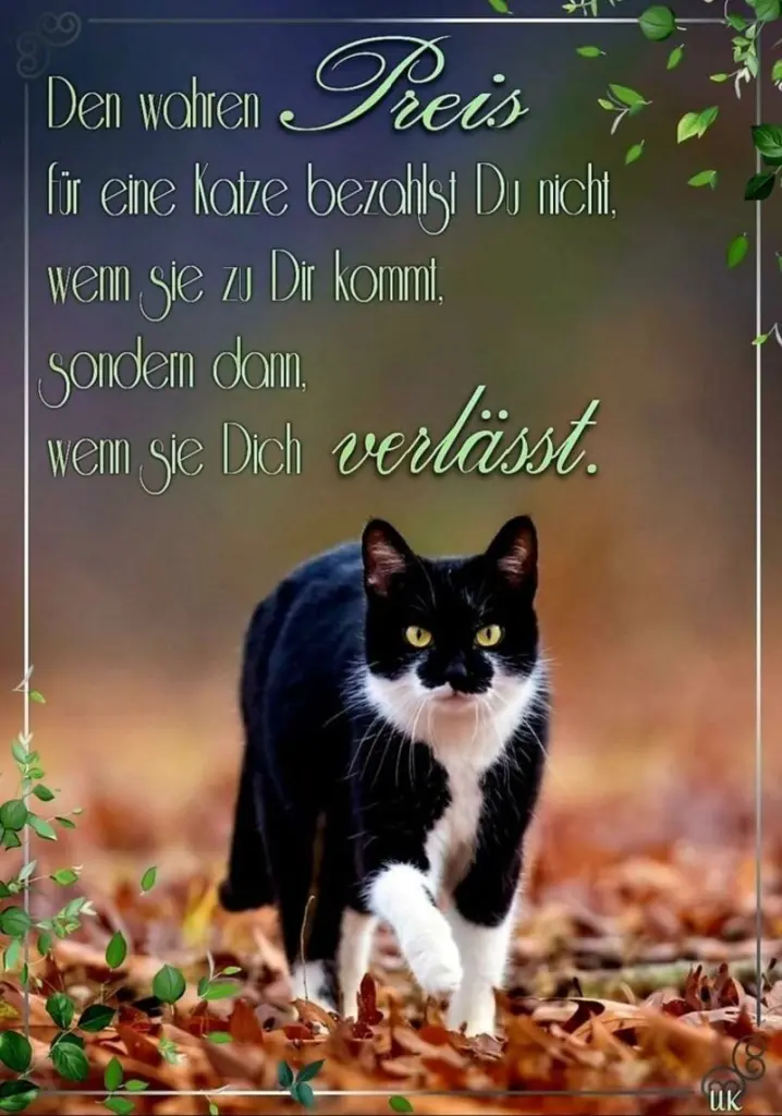 Andachtsbild von Ingrid mit Vini im Herzen