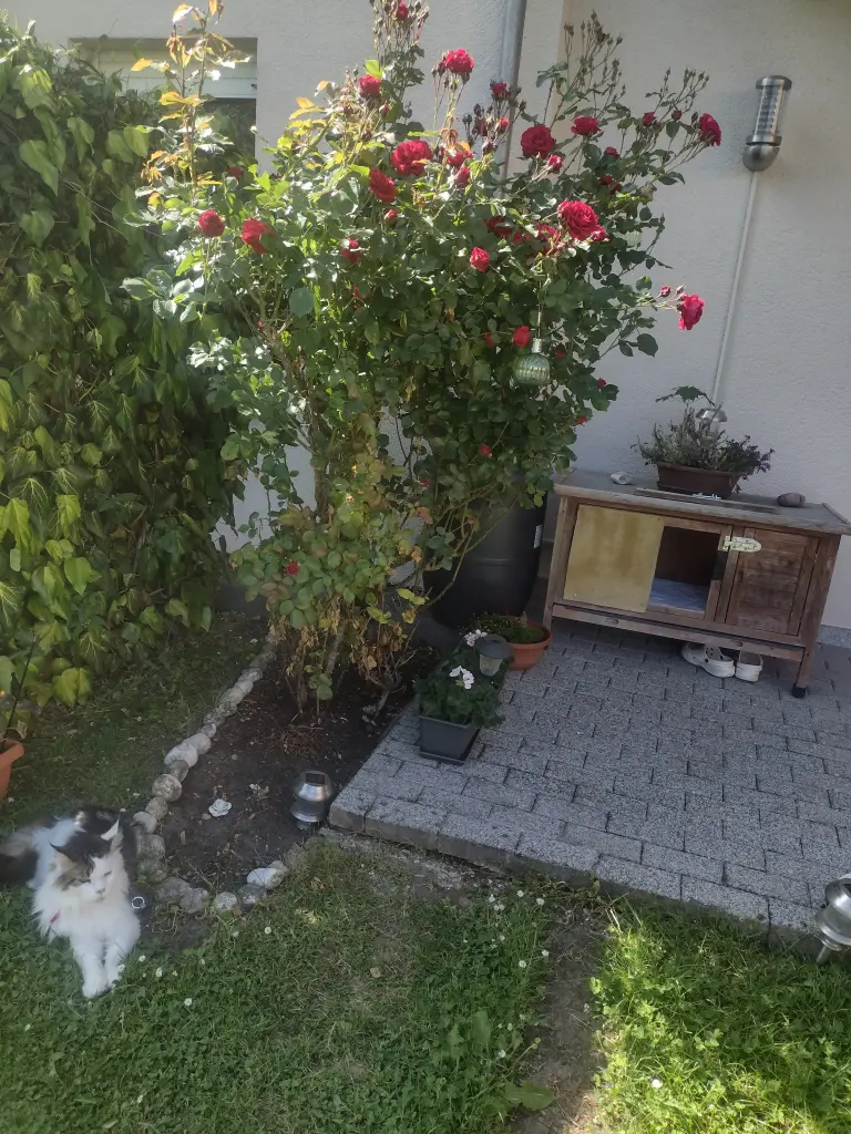 Andachtsbild von Corinna ♥️