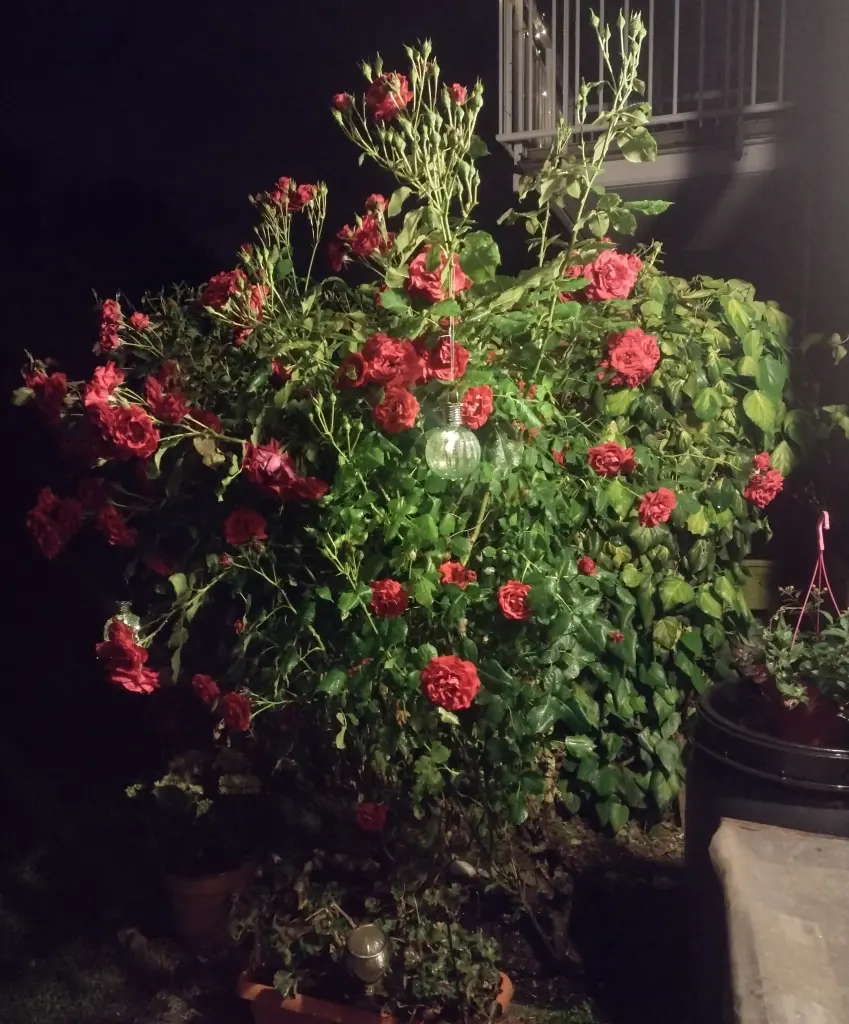 Andachtsbild von Corinna ♥️