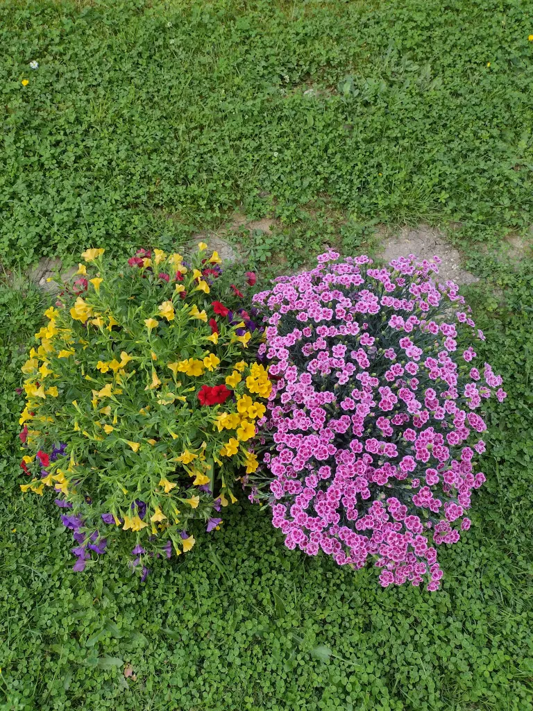 Andachtsbild von Corinna ♥️