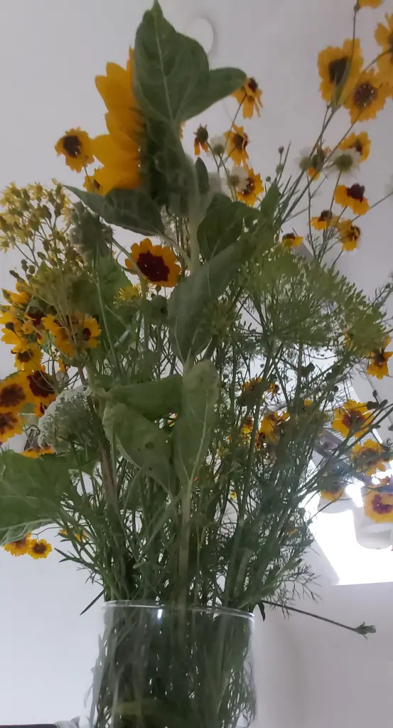 Andachtsbild von Wieder ein Geburtstag 