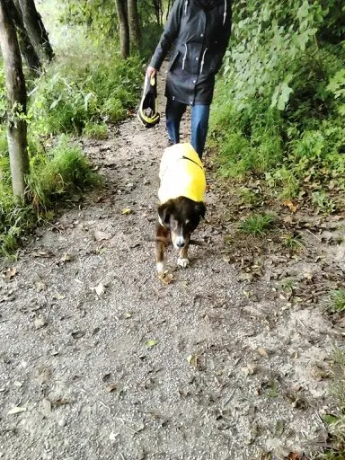 Andachtsbild von Renate mit ihrem geliebten Artax"Bubele" ganz tief im Herzen