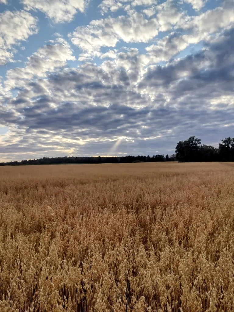 Andachtsbild von Corinna ♥️