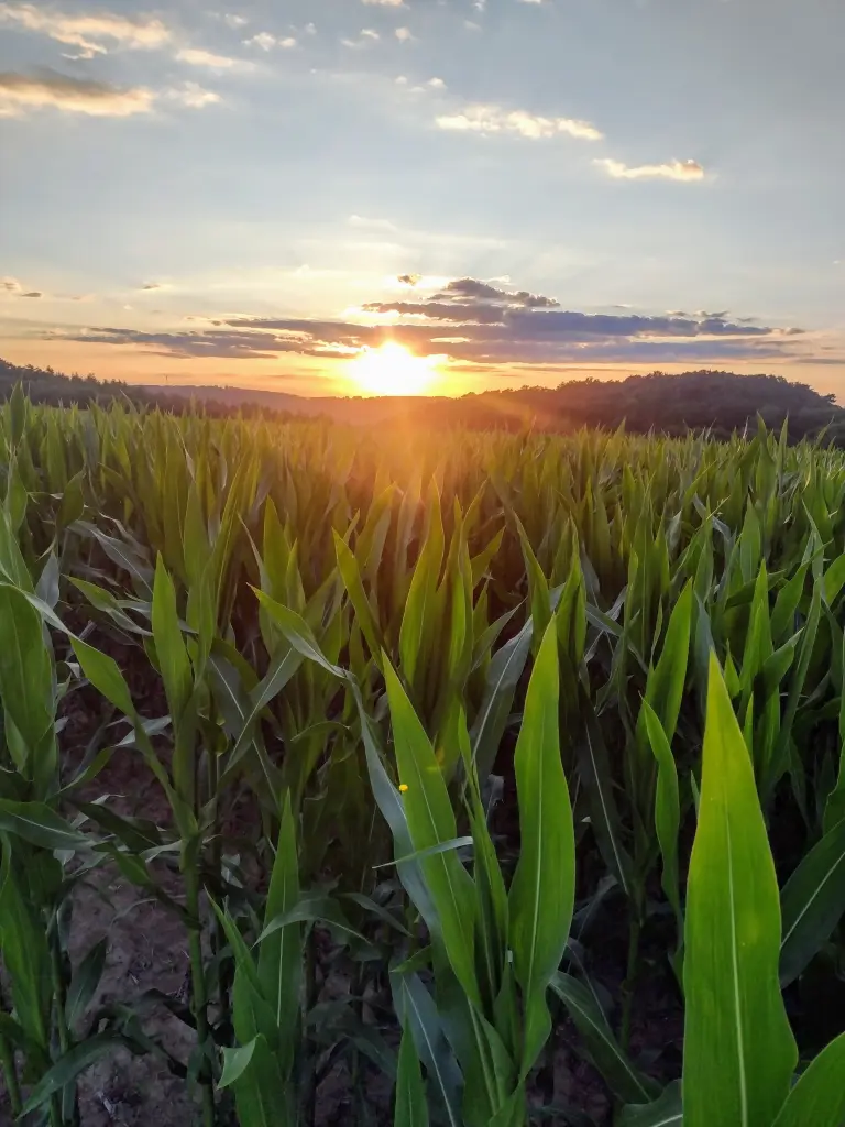 Andachtsbild von Corinna ♥️