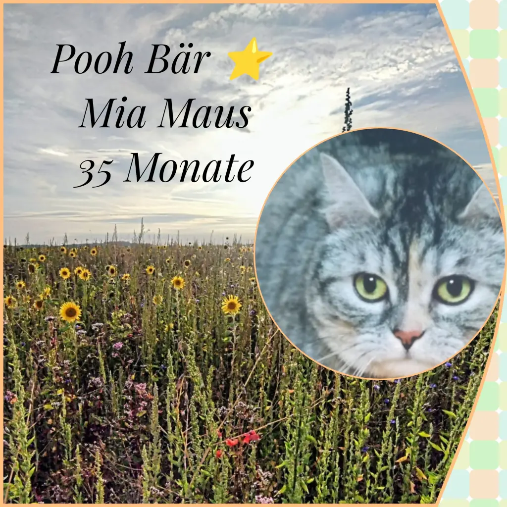 Andachtsbild von Corinna ♥️