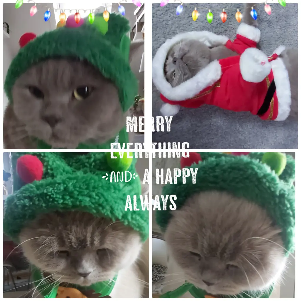 Andachtsbild von In Liebe