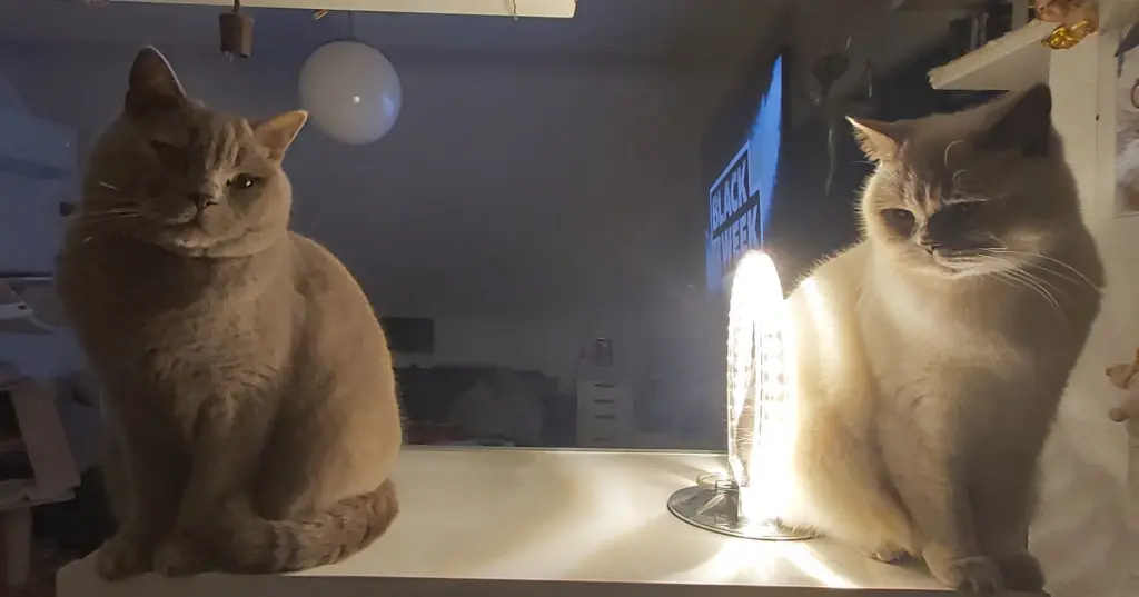 Andachtsbild von Liebe stirbt nicht