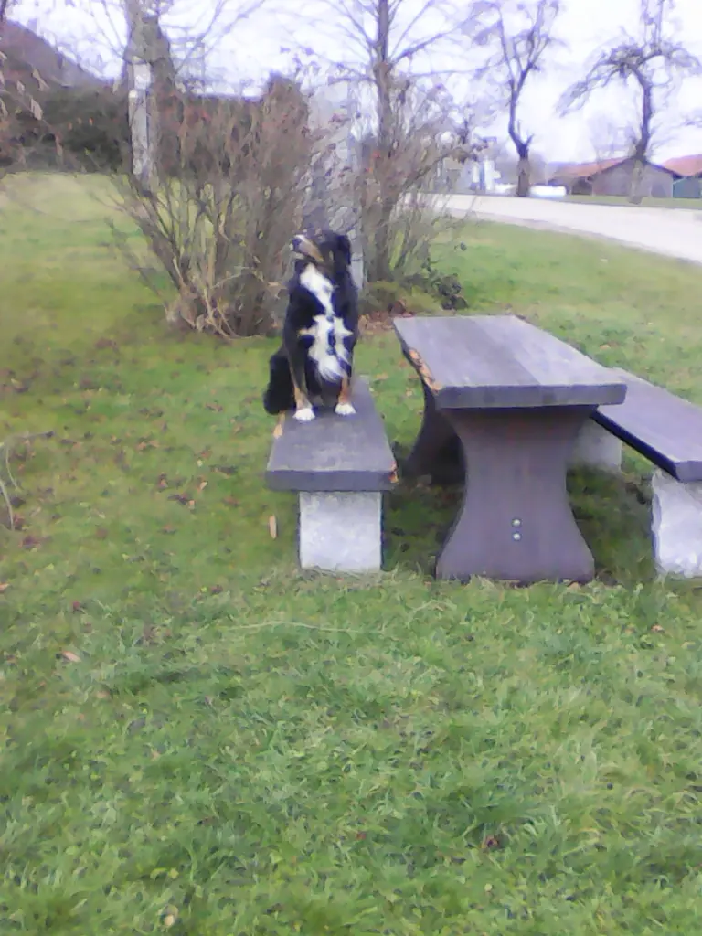 Andachtsbild von Renate mit ihrem geliebten Bubele