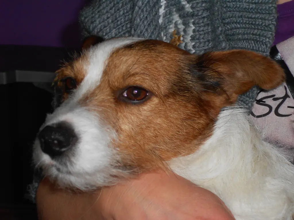 Condolence image of Martina + Spike