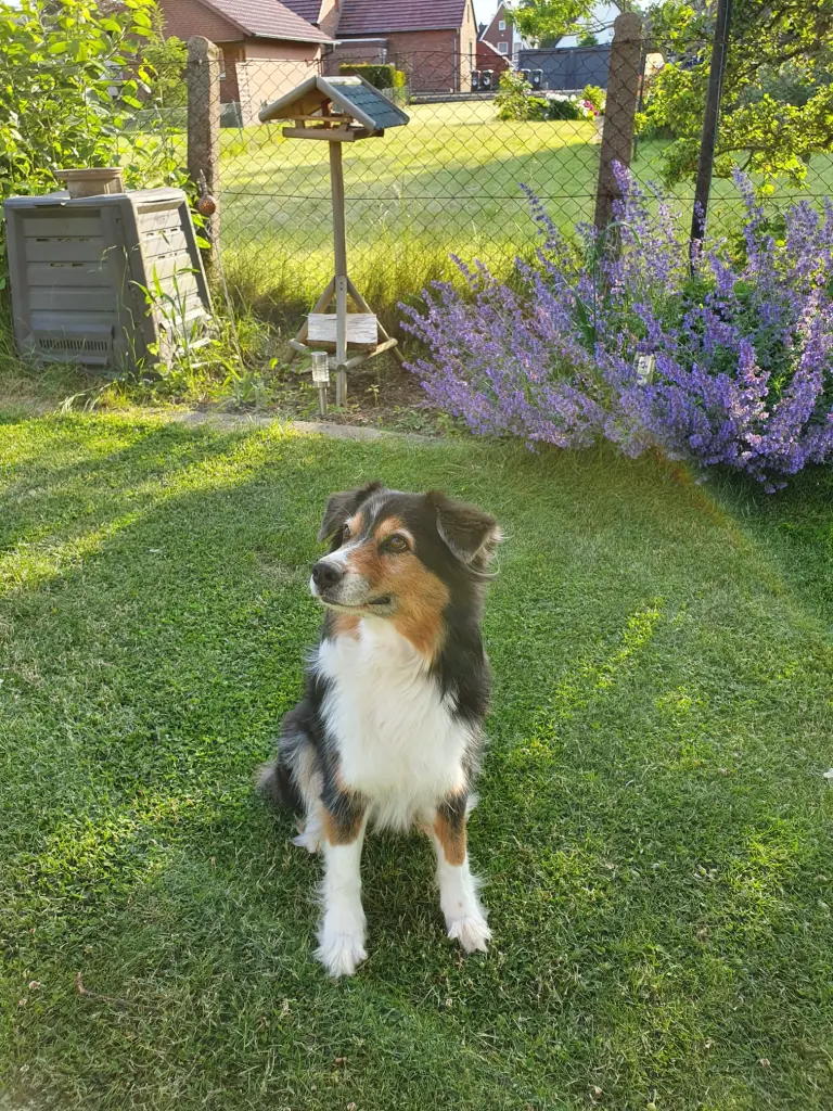 Andachtsbild von Stefanie