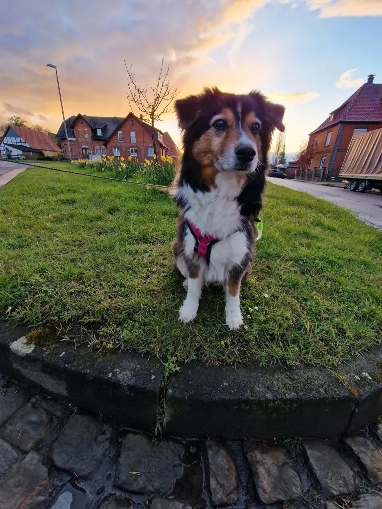 Andachtsbild von Stefanie