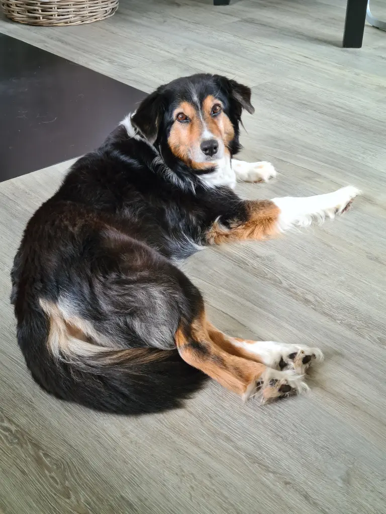 Andachtsbild von Stefanie