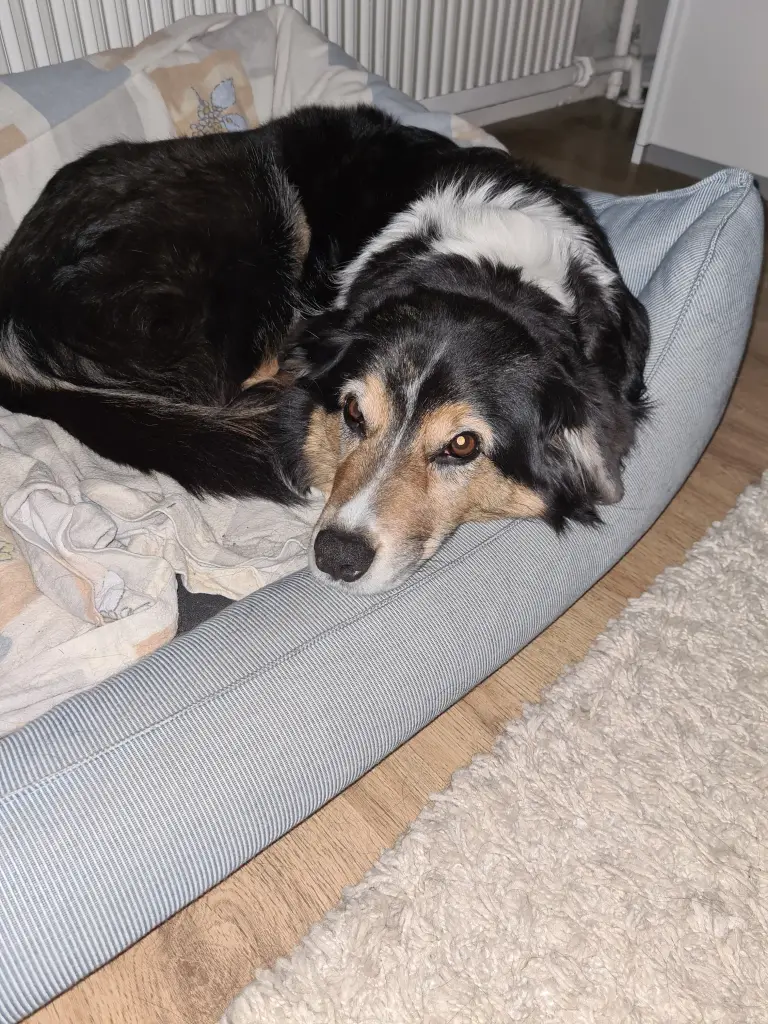 Andachtsbild von Stefanie