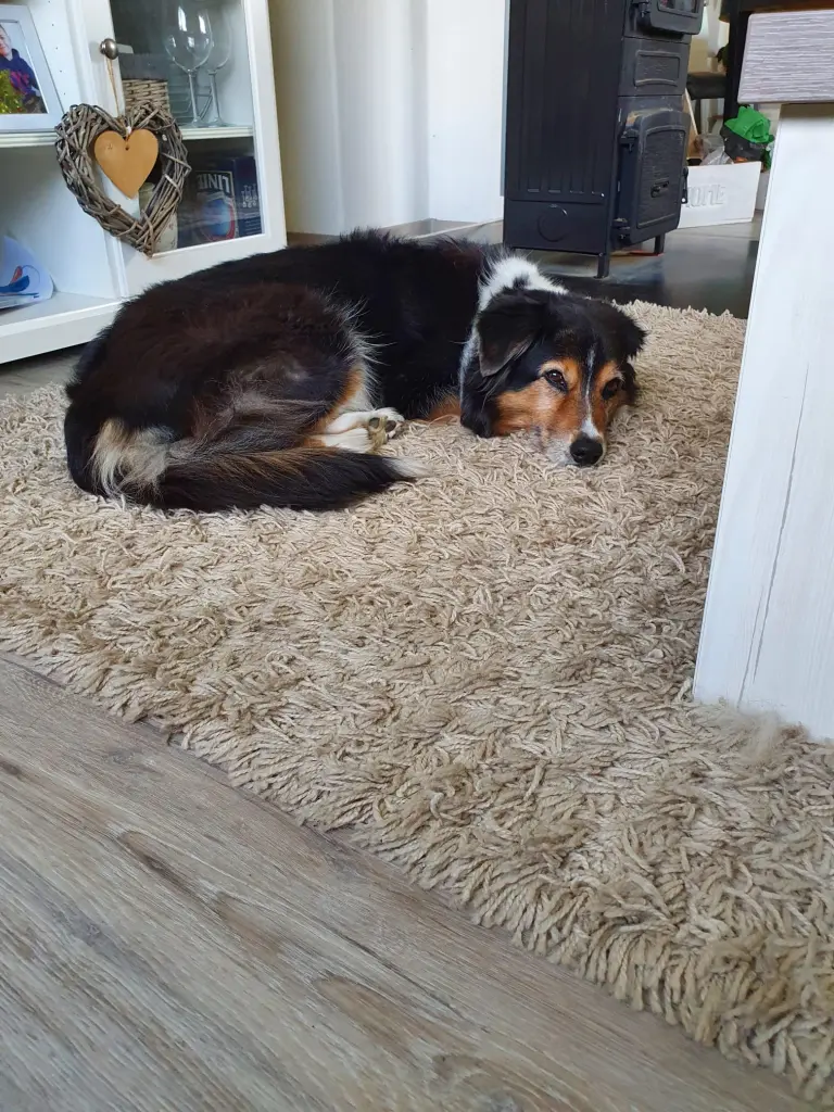 Andachtsbild von Stefanie