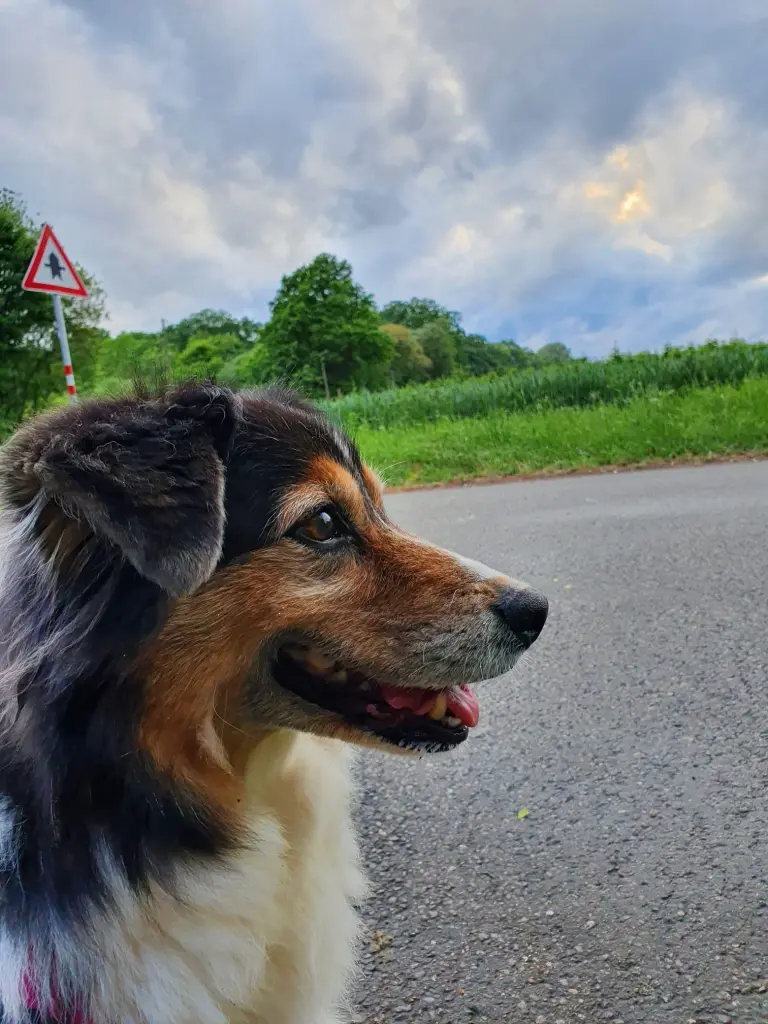 Andachtsbild von Stefanie