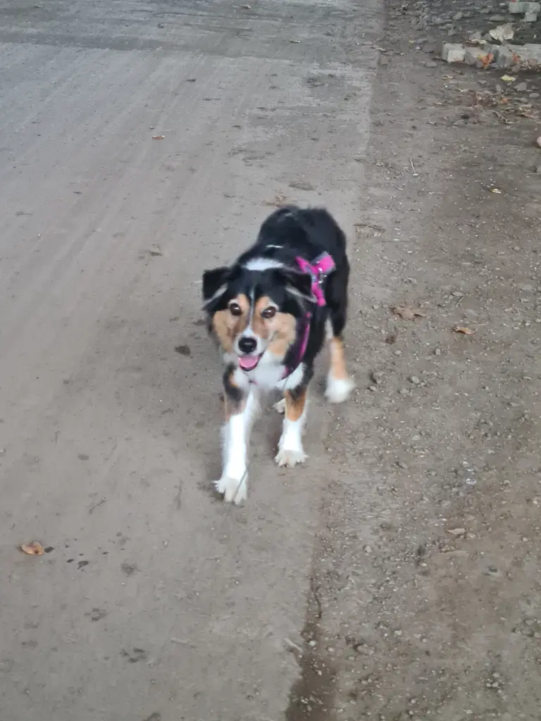 Andachtsbild von Stefanie