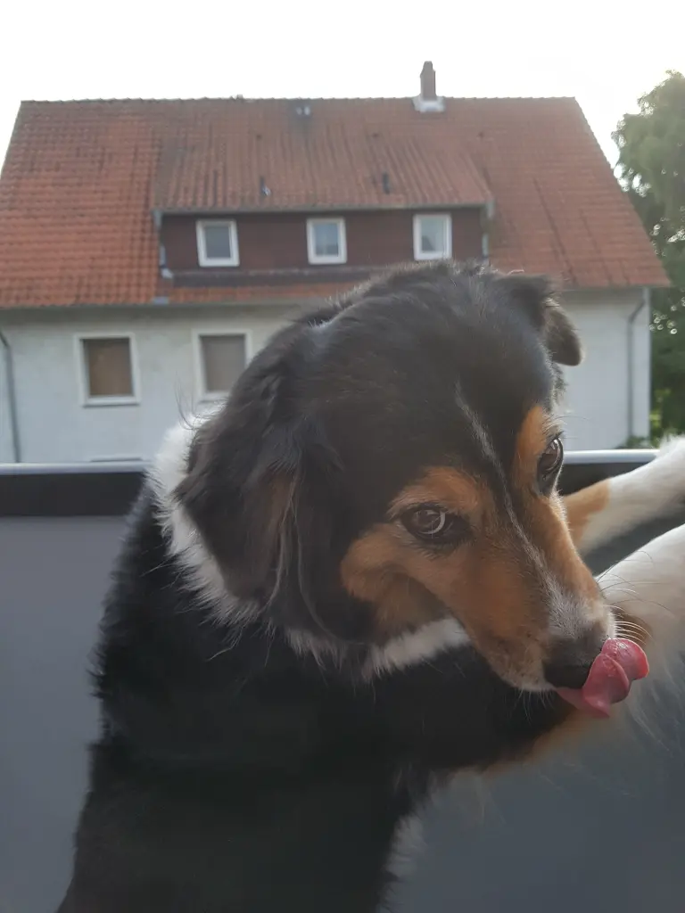 Andachtsbild von Sven