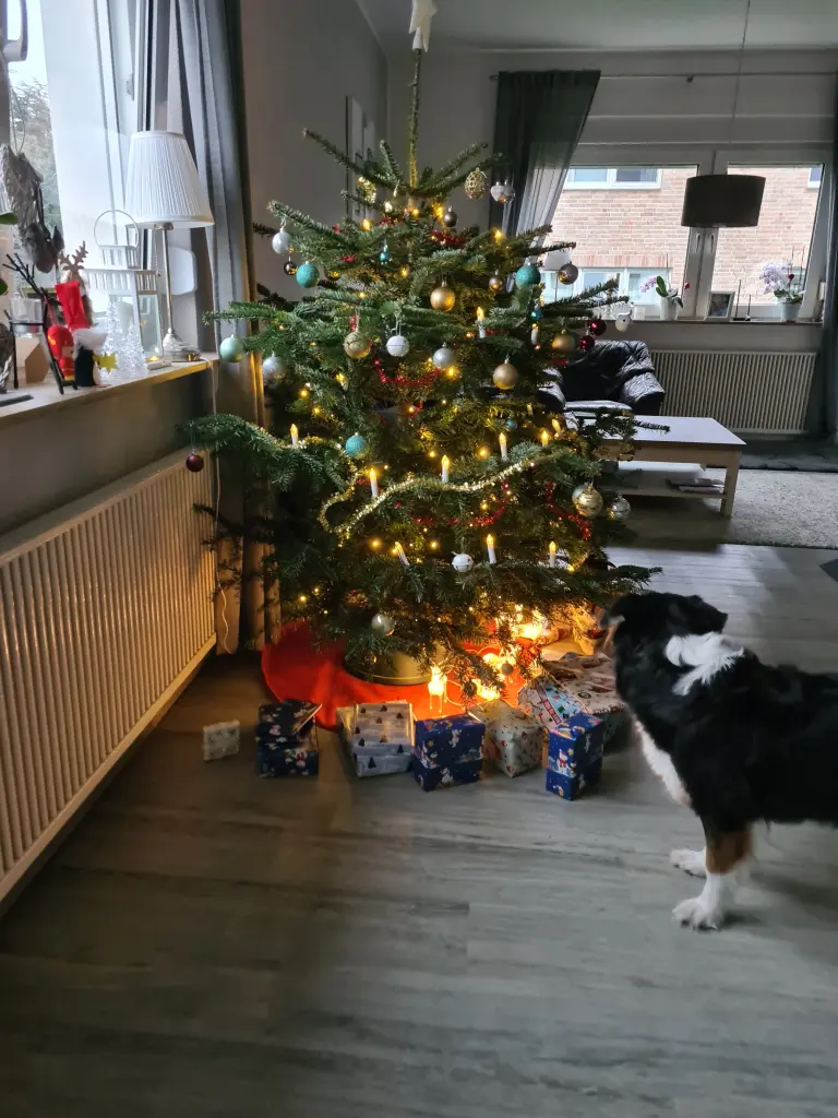 Andachtsbild von Stefanie