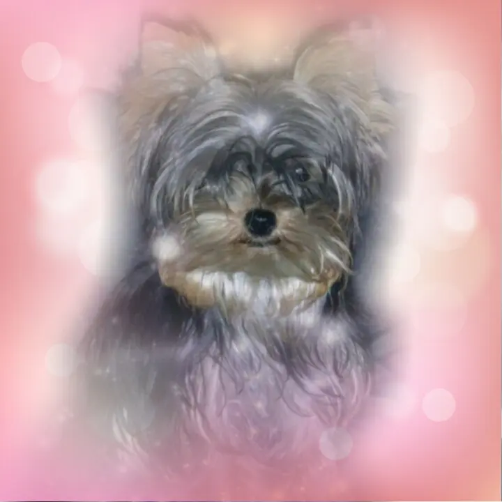 Image from Casey