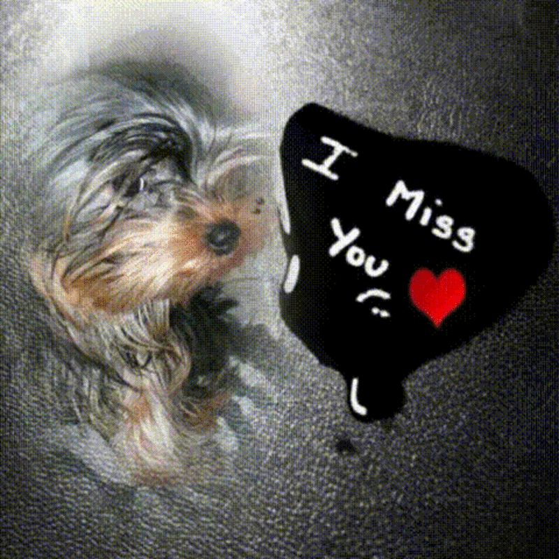 Image from Casey