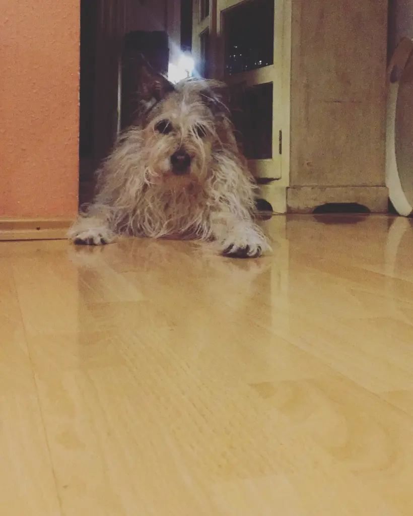 Image from Lucky