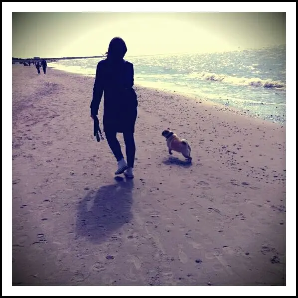 Image from Lotti