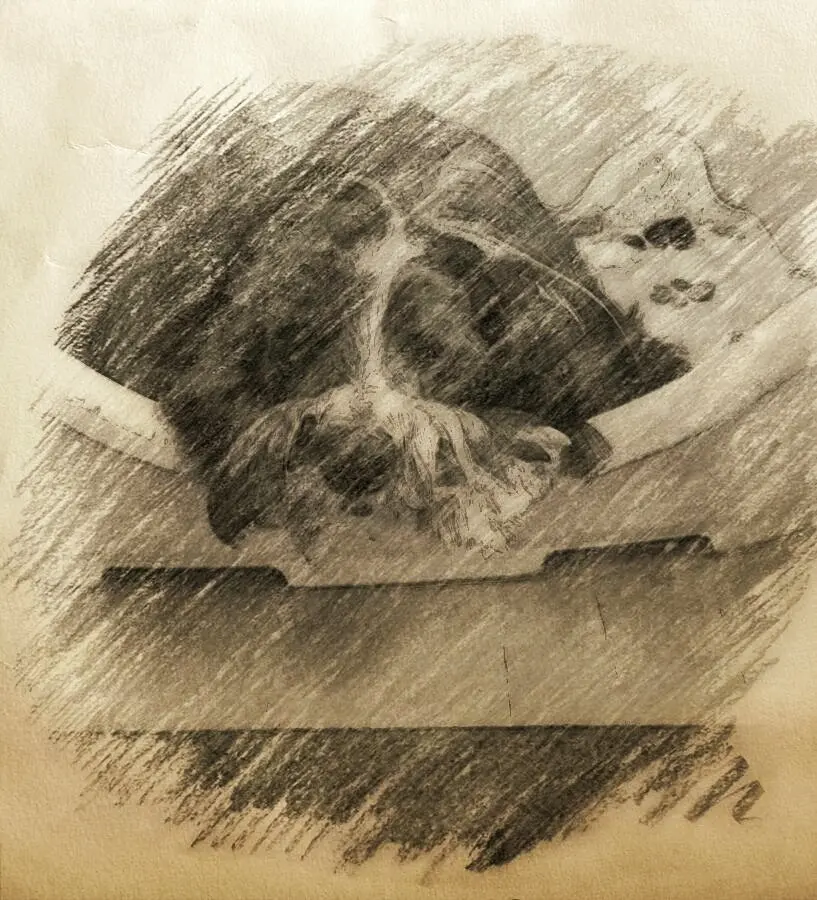 Condolence image of Dirk