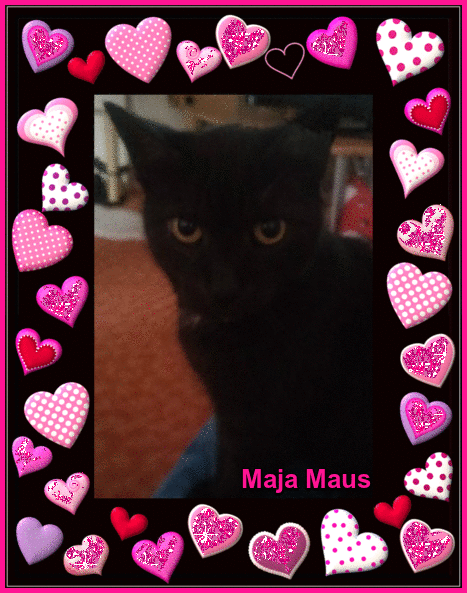 Condolence image of Christine mama von sternchenkatze Maja
