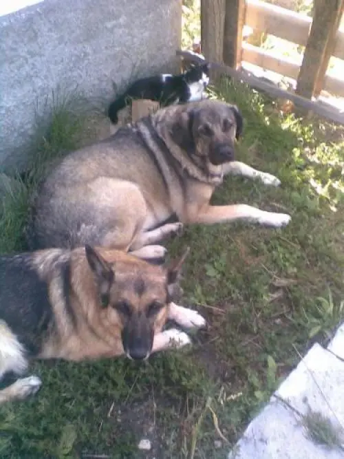 Image from Mara