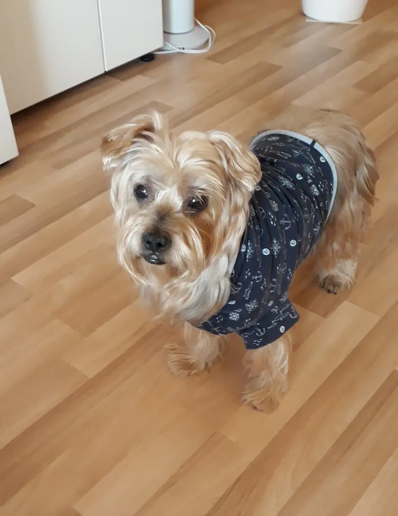 Andachtsbild von Krzysztof und Ewa mit Jacki im Herzen ❤