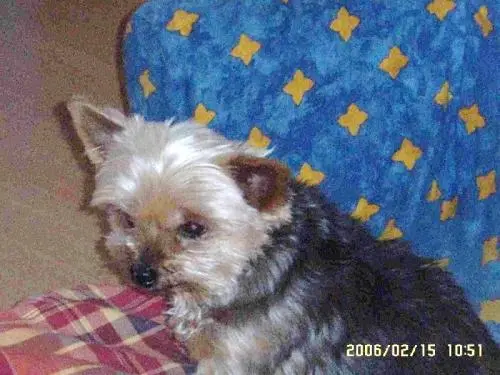 Image from Denny