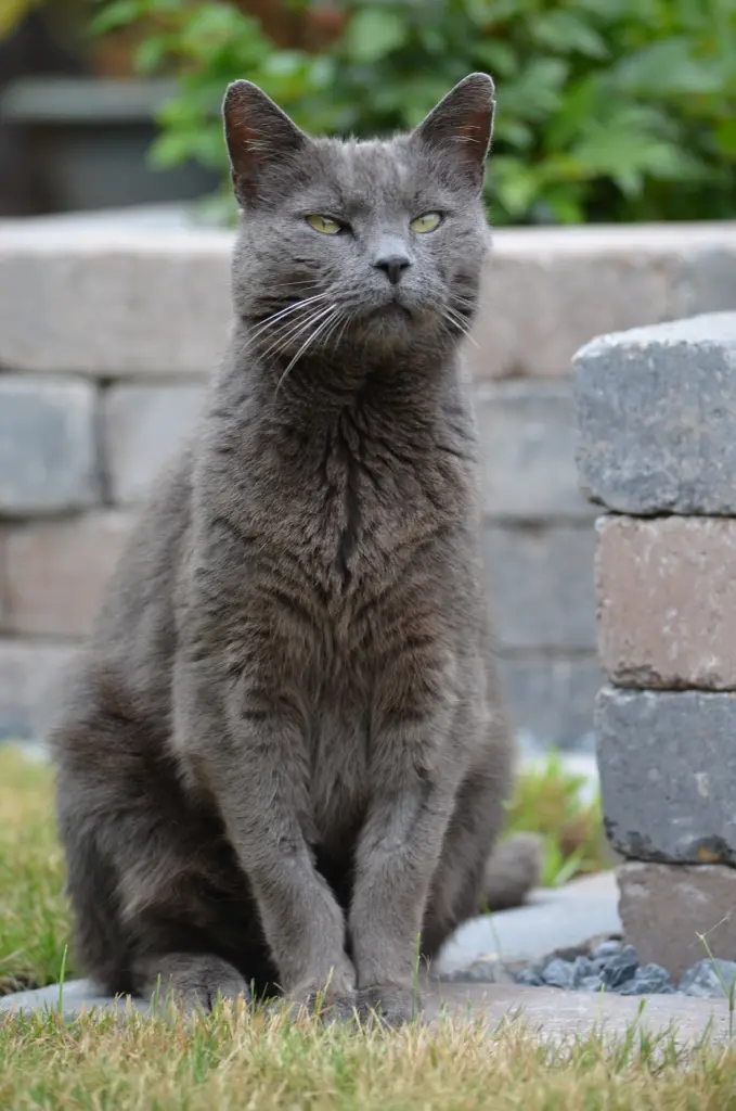 Condolence image of Sarah