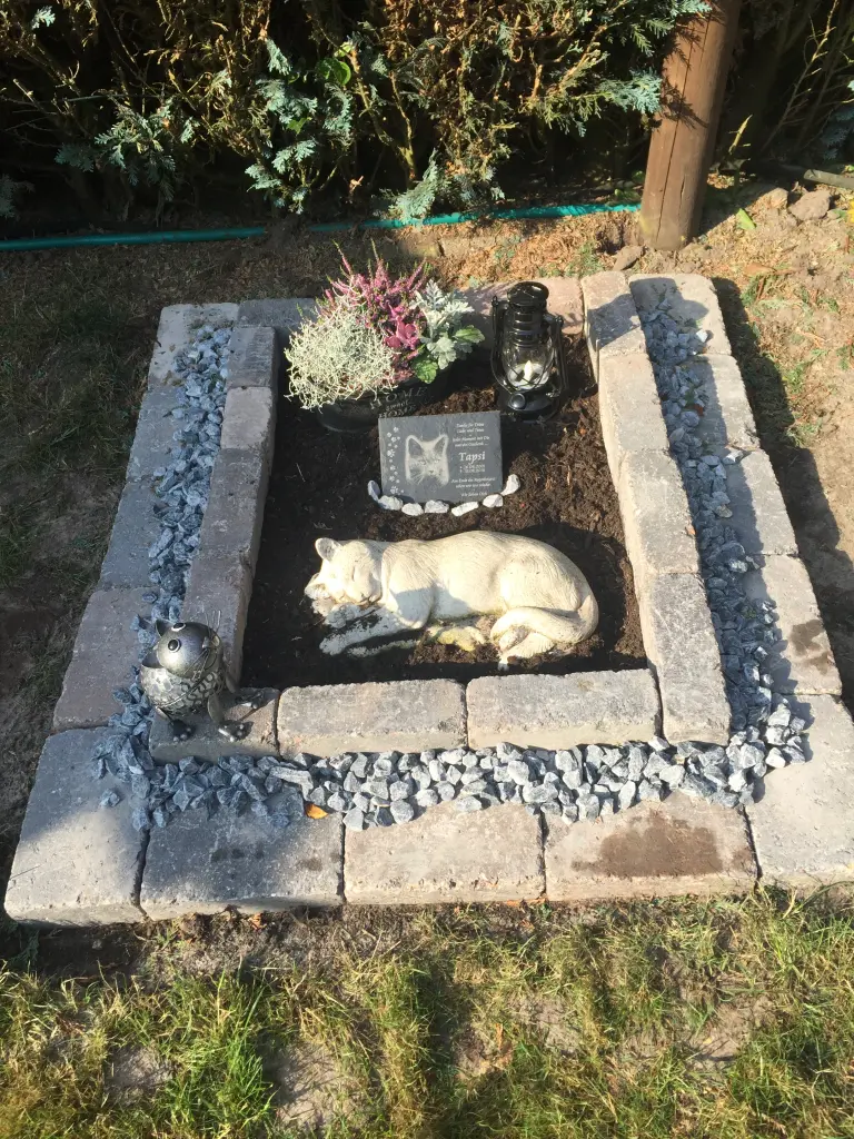 Image from Tapsi