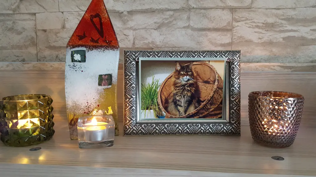 Condolence image of Birgitt mit Dinah,Püppi,Bonny,Cindy,Miez