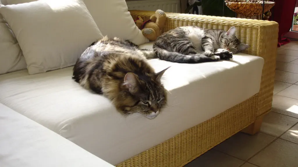 Condolence image of Birgitt mit Miez Püppi Bonny Dinah Cindy Danny