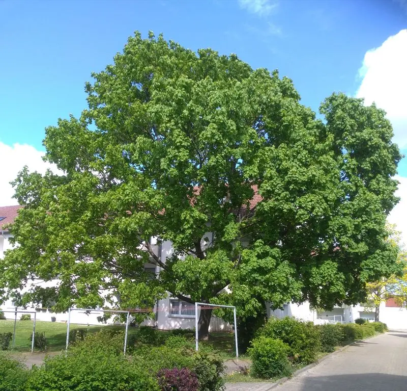 Condolence image of Unbekannt