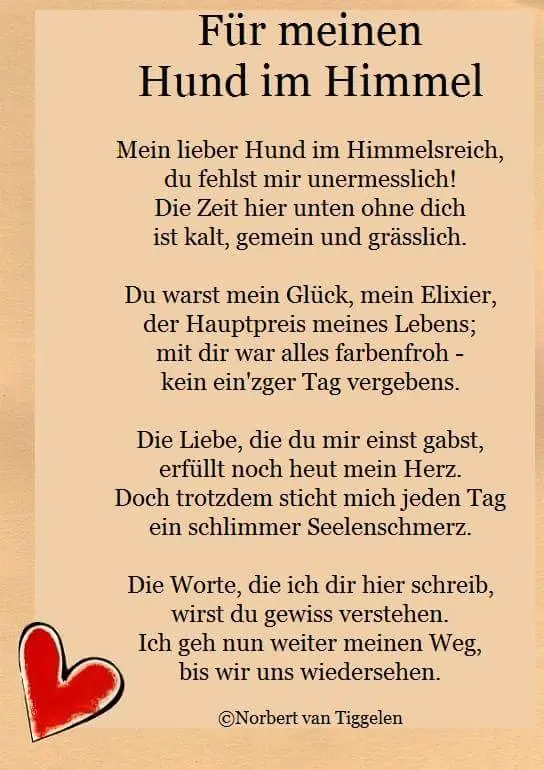 Condolence image of Frauchen