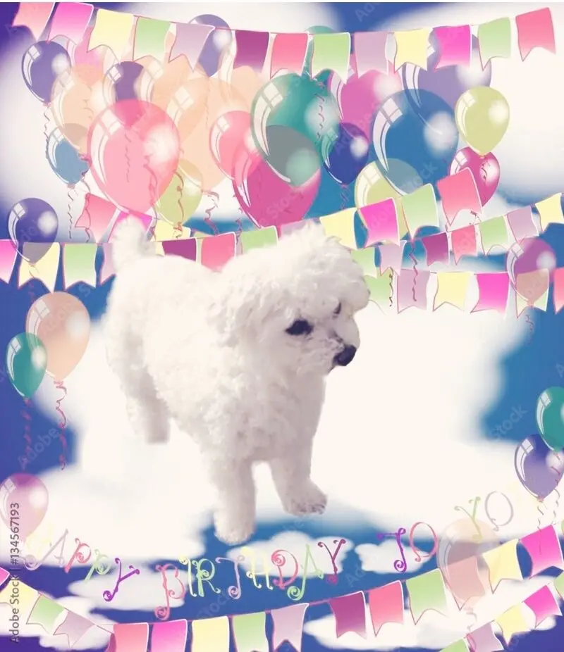 Andachtsbild von Gaby mit Snowy im Herzen 