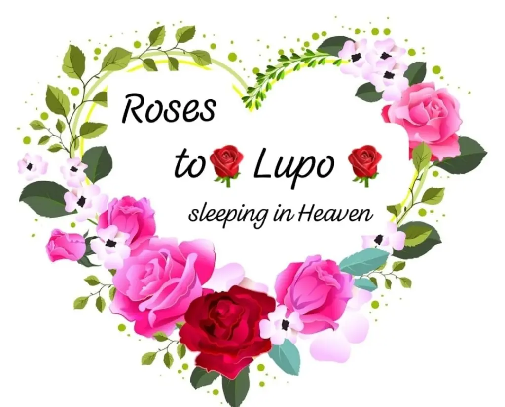 Andachtsbild von ❤️Angel watching over you ❤️