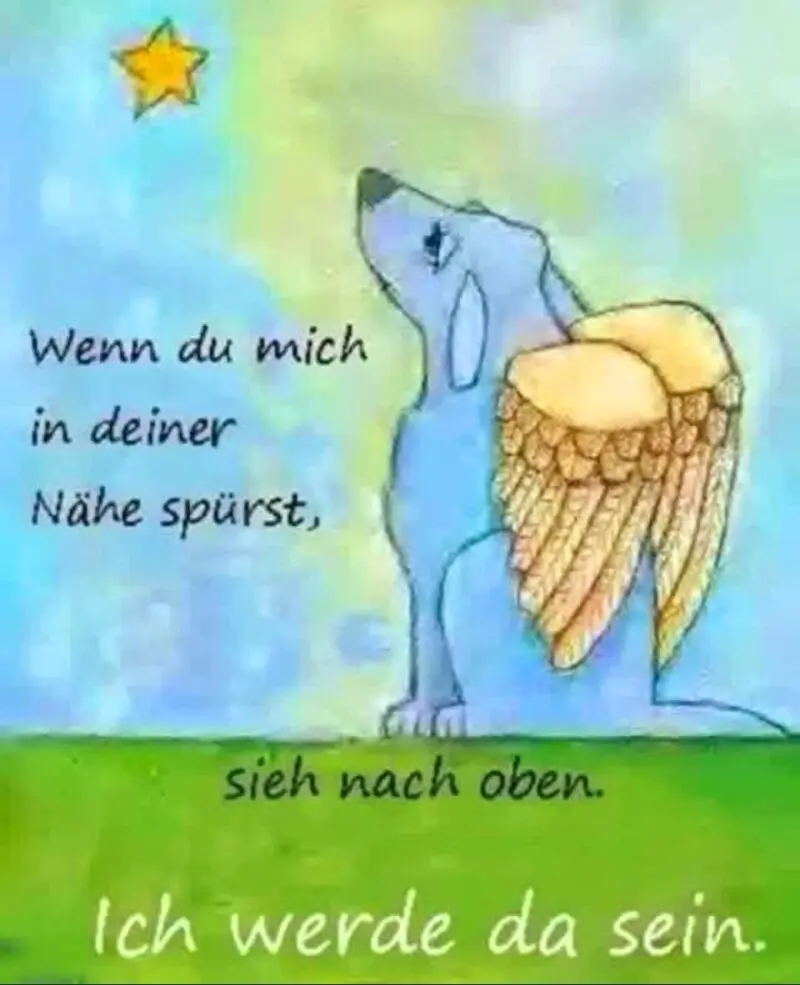 Andachtsbild von ❤️ Das können nur Engel ❤️